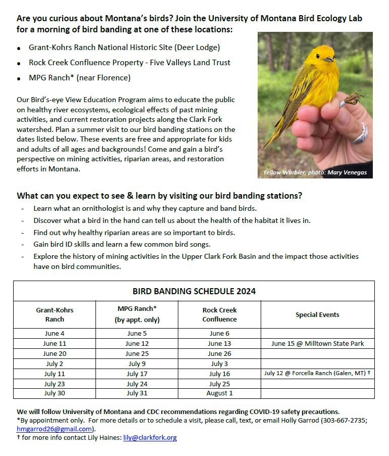 2024 songbird banding flyer page 1
