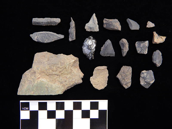 Collection of typical stone tools (scrapers, knives, and piercers) made on flakes of slate, chert, and obsidian