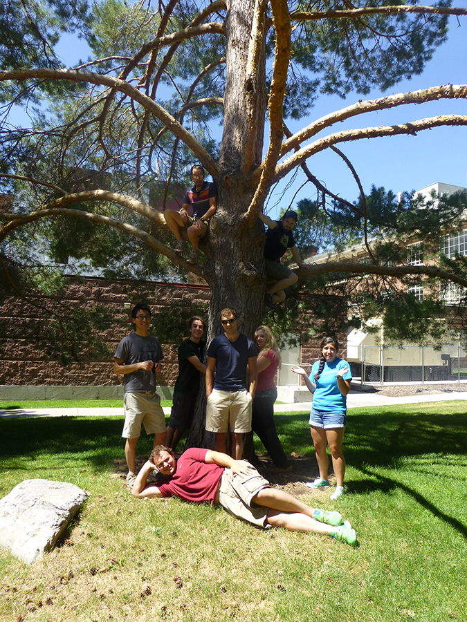 group photo under tree
