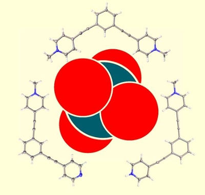Asia's molecule