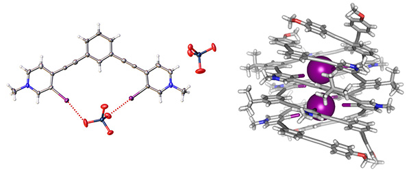 Halogen bonding molecules binding anions