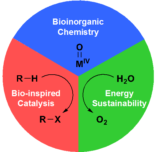 diagram of bioinorganic chemistry, bio-inspired catalysis, nad Energy sustainaibility
