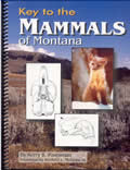 Key to the Mammals of Montana