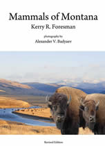 cover of book featuring two bison in front of river and plains