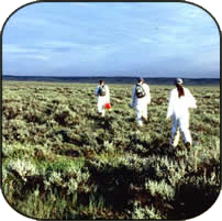 students in protective suits walking on the prairie