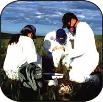 three students in masks working on the prairie 
