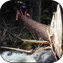 student sitting on a log crossing a river