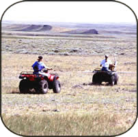 two researches driving four-wheelers across the prairie