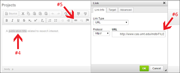 screen shot showing how to link file