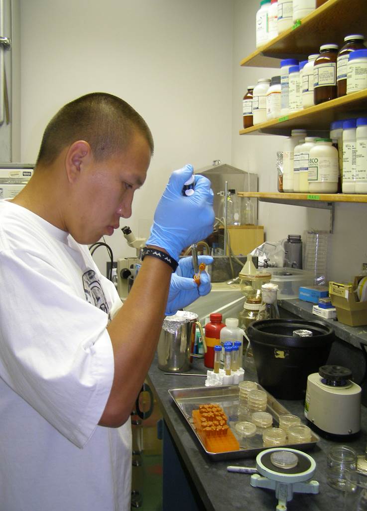 student conducting research in the lab