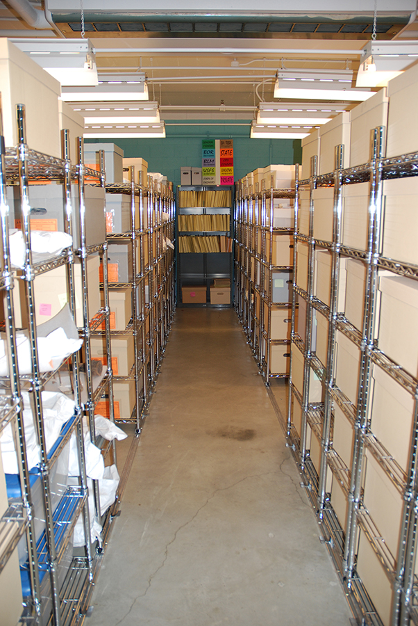 archaeology collection shelves and files