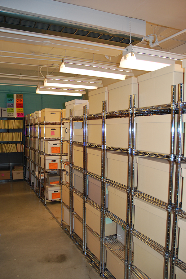 Archaeology collection shelves