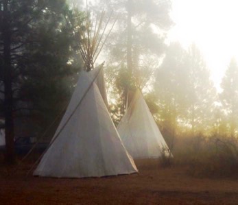 two tipis in the forest
