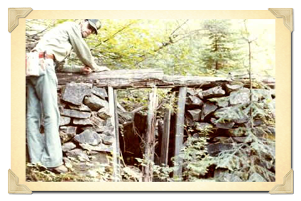 Forest Service employee looking at terraced garden