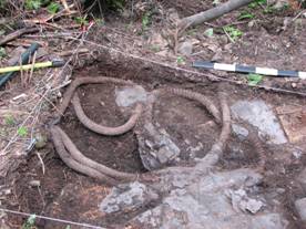 hose artifact found