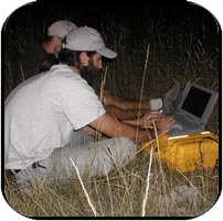 Nate working in a field at night