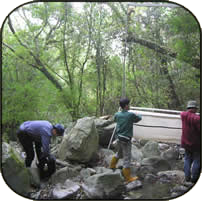 researchers working in a creek bed