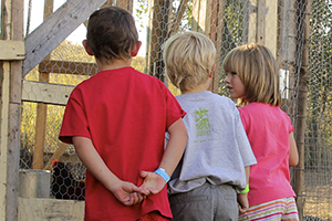 three children looking at chickens in a coop