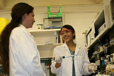 students working in the lab