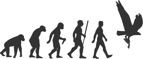 Evolution