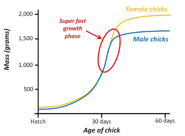 Sigmoidal Growth