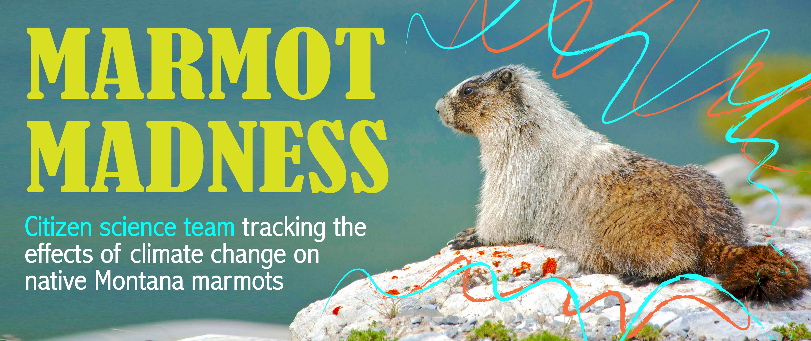 Marmot Madness banner
